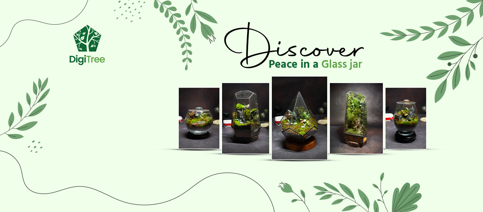 Terrariums