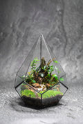 Frostcone Garden