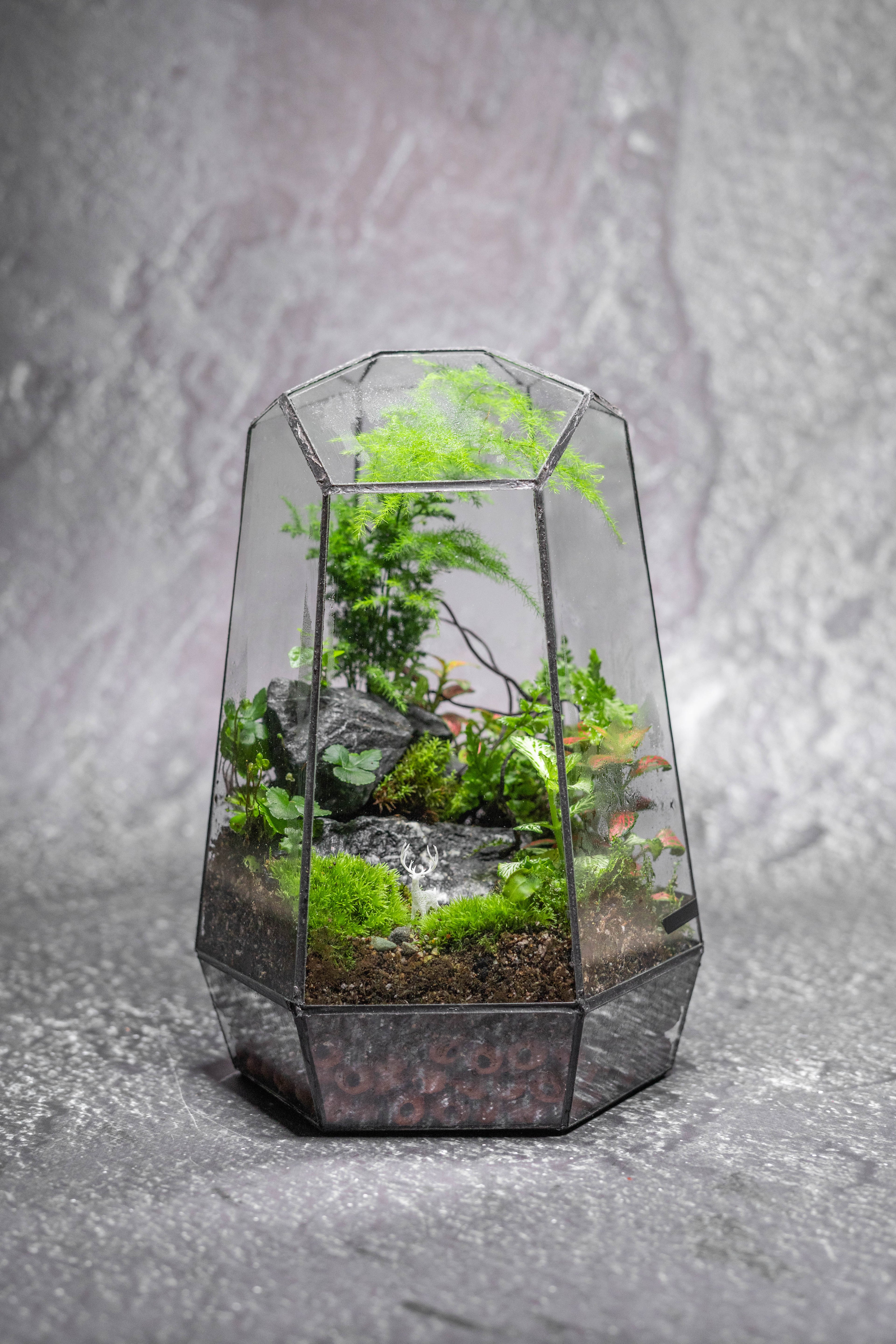 Crystalspire Forest