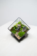 Little village